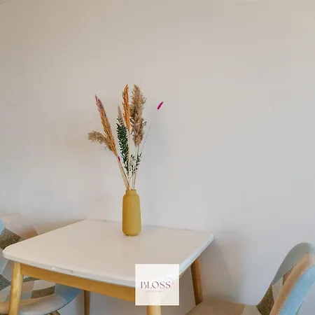 Sea Kissed By Bloss, Op Zeedijk Apartment Ostende
